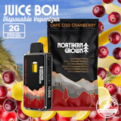 Cape Cod Cranberry Disposable - 2g - BBN