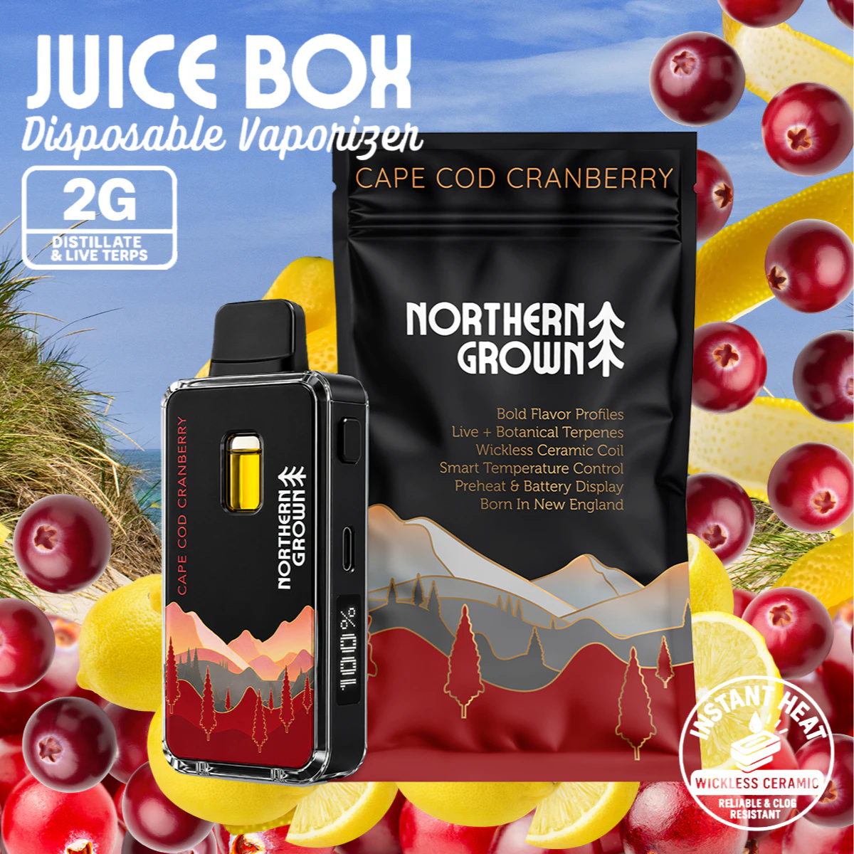 Juice Box - Cape Cod Cranberry Disposable - 2g - BBN Main Image
