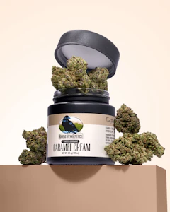 RAVENS VIEW GENETICS - Raven's View - Caramel Cream - Indica Hybrid - 3.5G