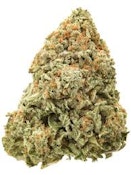 Lemon Bar | Common Citizen | Bulk Flower