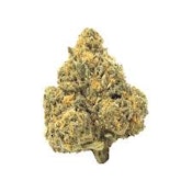 Orange Creampop | Michigan Roots | Bulk Flower