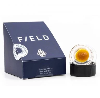 Field - Live Resin - Channel Orange (1g)  Main Image