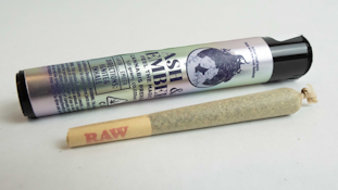 Ash & Ember | Viper Cookies sungrown preroll 1g | 21.04% THC