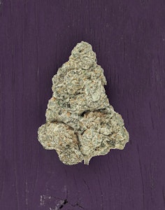 REVELRY - Revelry - Gelato Octane - 3.5g Flower