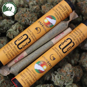 Jahnetics - Preroll - Hybrid Hash Infused - 1g (H) - Jahnetics