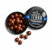 TERRA BITES MILK CHOCOLATE BLUEBERRIES - 100 MILLIGRAMS