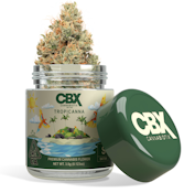 CBX | TROPICANNA | FLOWER | 3.5G