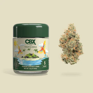 CANNABIOTIX - Cannabiotix - 3.5g - Tropicanna