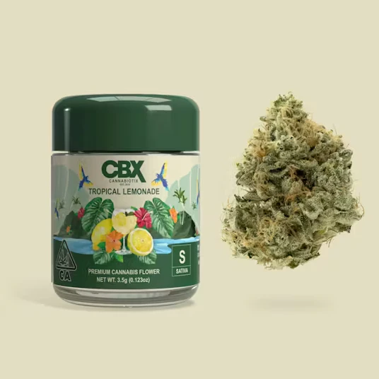 CBX - CBX - Tropical Lemonade Flower (S) 3.5g Main Image