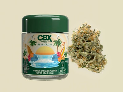 CANNABIOTIX - CBX - Blue Crush - 3.5g Flower