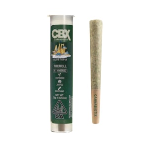 CBX - GLUETOPIA .75G - CANNABIOTIX