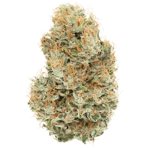 CANNABIOTIX - Cannabiotix | L'Orange | 3.5g