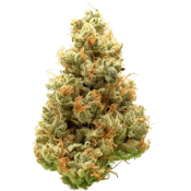 Cannabiotix | Super Mango Haze | 3.5g