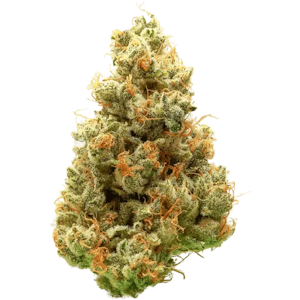 CANNABIOTIX - Cannabiotix | Super Mango Haze | 3.5g