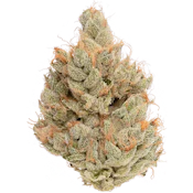 Cannabiotix | White Walker OG | 3.5g