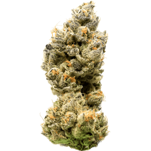 CANNABIOTIX - Cannabiotix | Zatomic | 3.5g