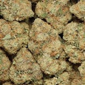 Bulk Flower | Rare Michigan Genetics | Comet Cookies