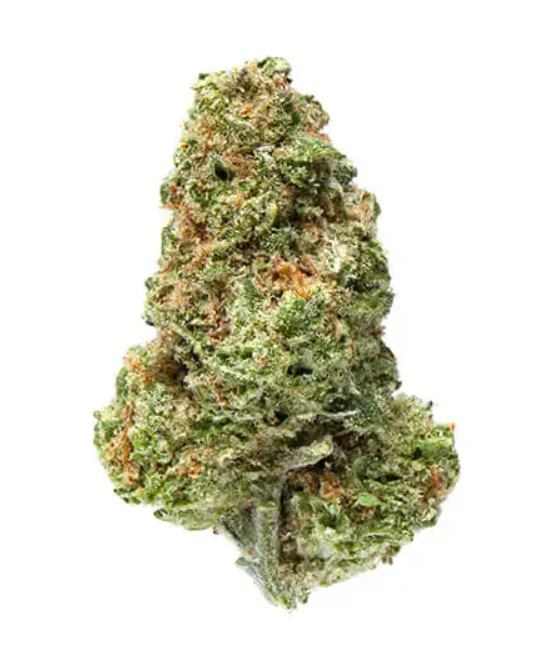 Campfire Cannabis - Cap Junky - 3.5g - Campfire Cannabis Main Image