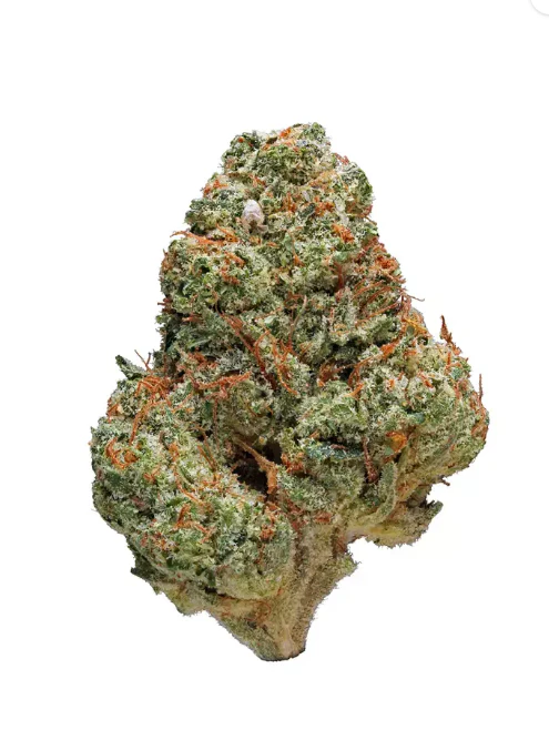 Campfire Cannabis - Guava - 3.5g - Campfire Cannabis Main Image