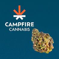 Campfire Cannabis - Pink Lemonade - 4g- Campfire Cannabis Main Image