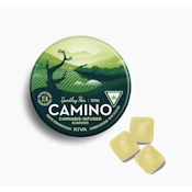 Kiva Confections | Camino Sparkling Pear - "Social" 1:3 CBD Gummies