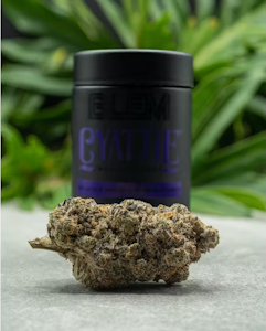 BLEM - BLEM - Flower - Cyattie - 3.5G