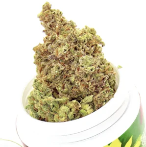 BAILEY'S BUDS - Wedding Cake | 3.5g Big Nugs Only | TAX INCLUDED