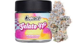 Connected - Gelato 41 Indoor - 3.5g