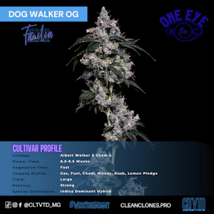 CLTVTD - Dog Walker OG - (H)