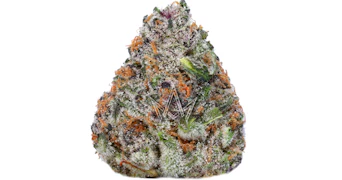 Phases - Couch Lock Dreamcatcher - 3.5g