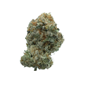 Trop Zkittlez, Indoor