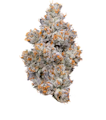 Connected 3.5g Nightshade