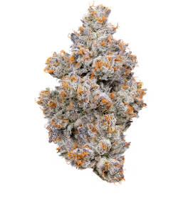 Connected - Connected 3.5g Nightshade