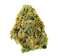 Pruf Cultivar Rainbow Belts 2.0 #8