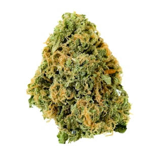 Pruf Cultivar - Pruf Cultivar Rainbow Belts 2.0 #8