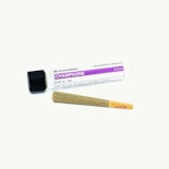 GREEN HABITAT: CHAMPAGNE 1G PREROLL