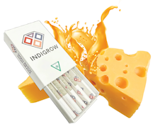 5 Pack Cheddar Cheeze Pre-rolls