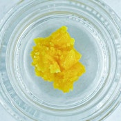 Chester Cheetah, Cured Resin