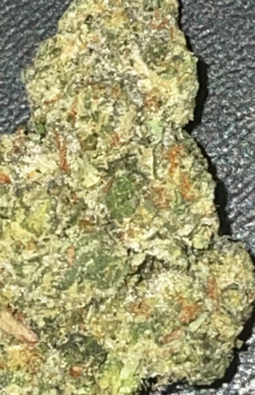 Green Leef Pharms - Cheetah Piss-1gPrePack Main Image