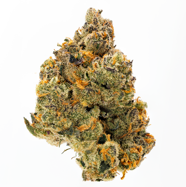 Ayollar koloniyasida jinsiy aloqa Ekaterina Vornava jinsiy aloqa