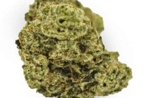 Chem Dawg (Indica Dom)