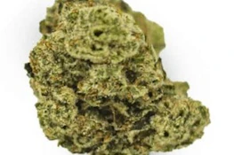 Chem Dawg (Indica Dom)