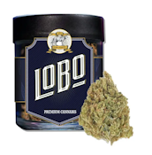 Lobo- Chemdawg OG - 3.5g Flower
