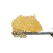 West Coast Cure - Chemdog Live Resin Sugar 1g