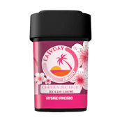 Easy Day 30 MG Cherry Blossom Hybrid Gummies 10 Pk