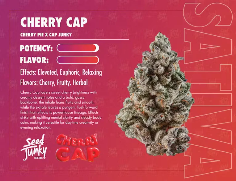 Seed Junky - Seed Junky - Sativa - Cherry Cap Indoor - (3.5g) Main Image
