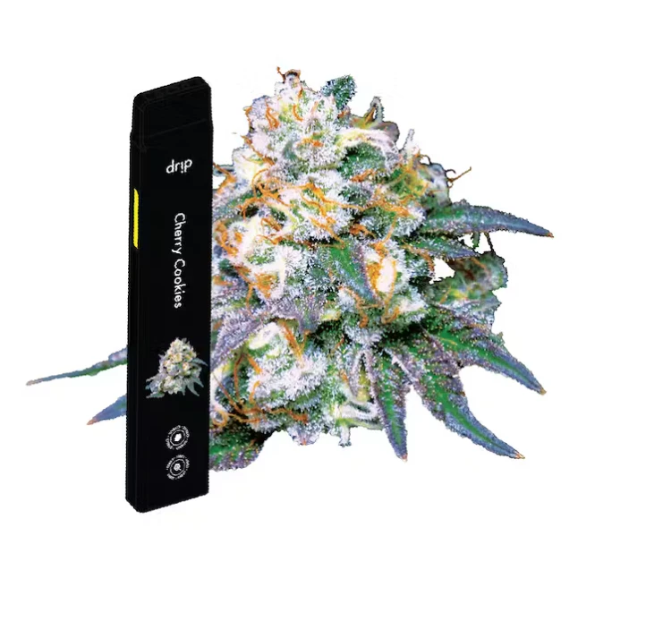 Drip - Drip - Cherry Cookies Big Ripper AIO - 2g Main Image