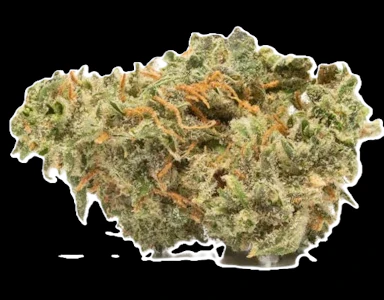 MJ Verdant - Cherry Garcia Buds