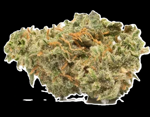 MJ Verdant - Cherry Garcia Buds Main Image