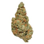 Exquisite Premium Cherry Limeade Indoor THCA Hemp Flower